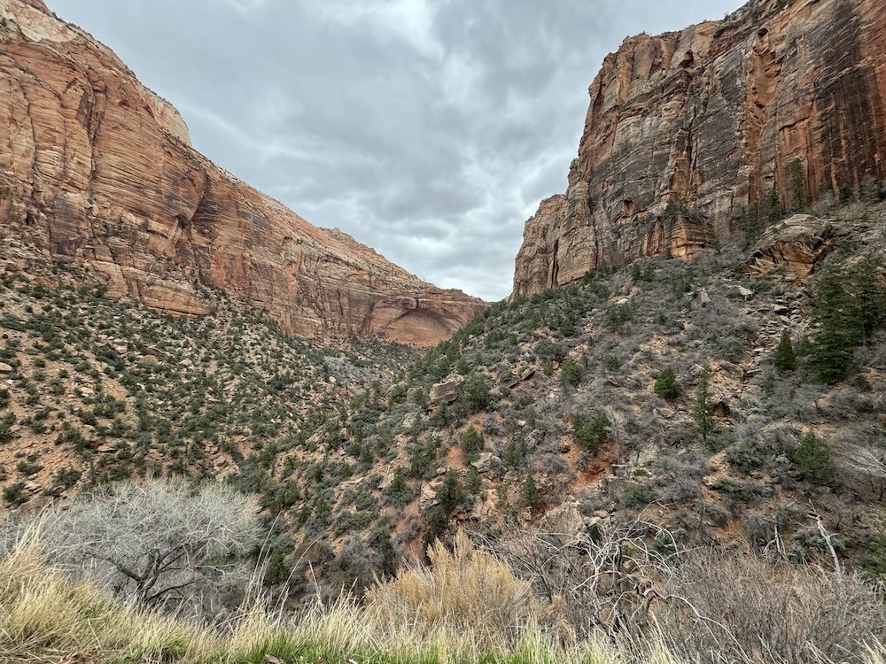 Vista panorâmica do Zion National Park