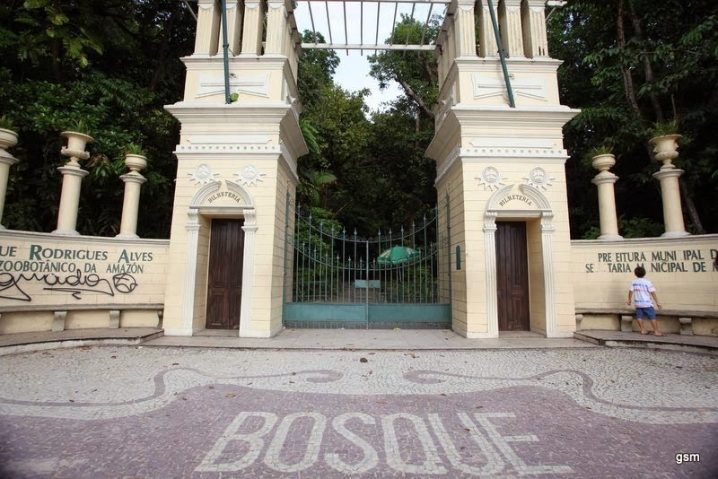 Vista do Bosque Rodrigues Alves em Belém, destacando a harmonia entre natureza e cidade