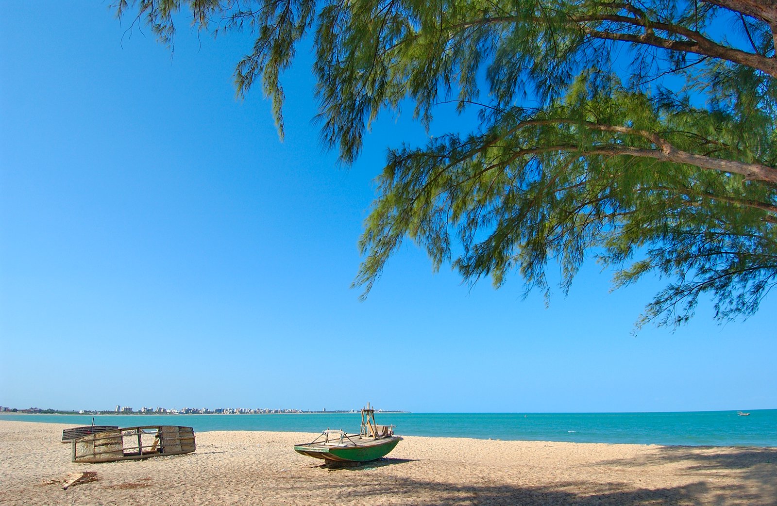 Praia do Bessa com coqueiros ao fundo