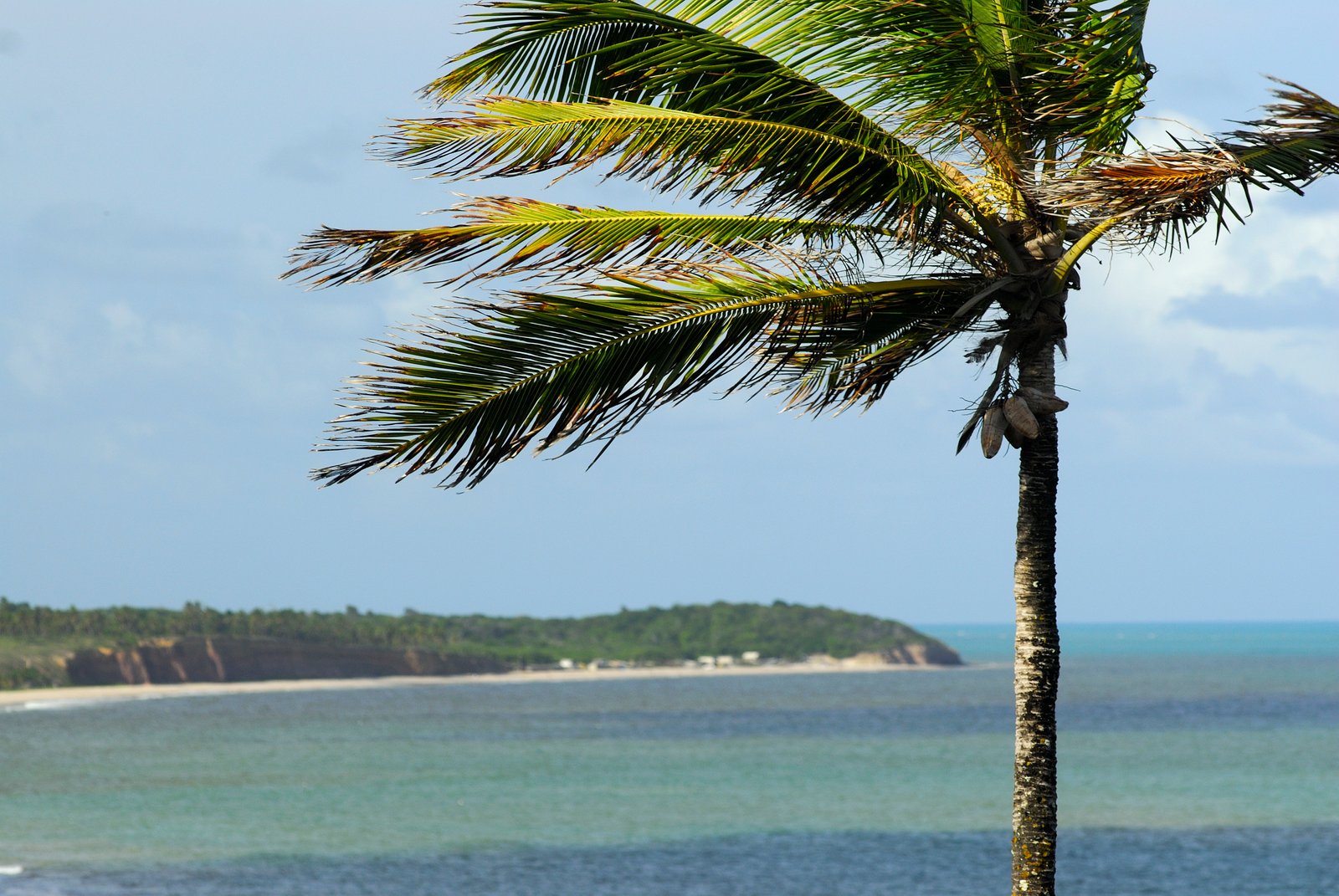 Vista da Barra de Gramame com o rio ao fundo