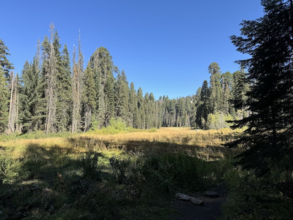 Crescent Meadow no Parque Nacional das Sequoias