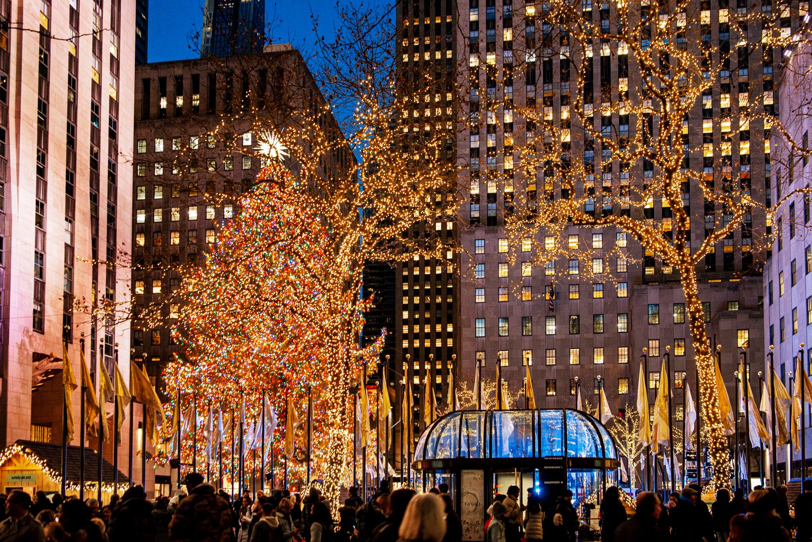 Árvore de Natal iluminada no Rockefeller Center, Nova York