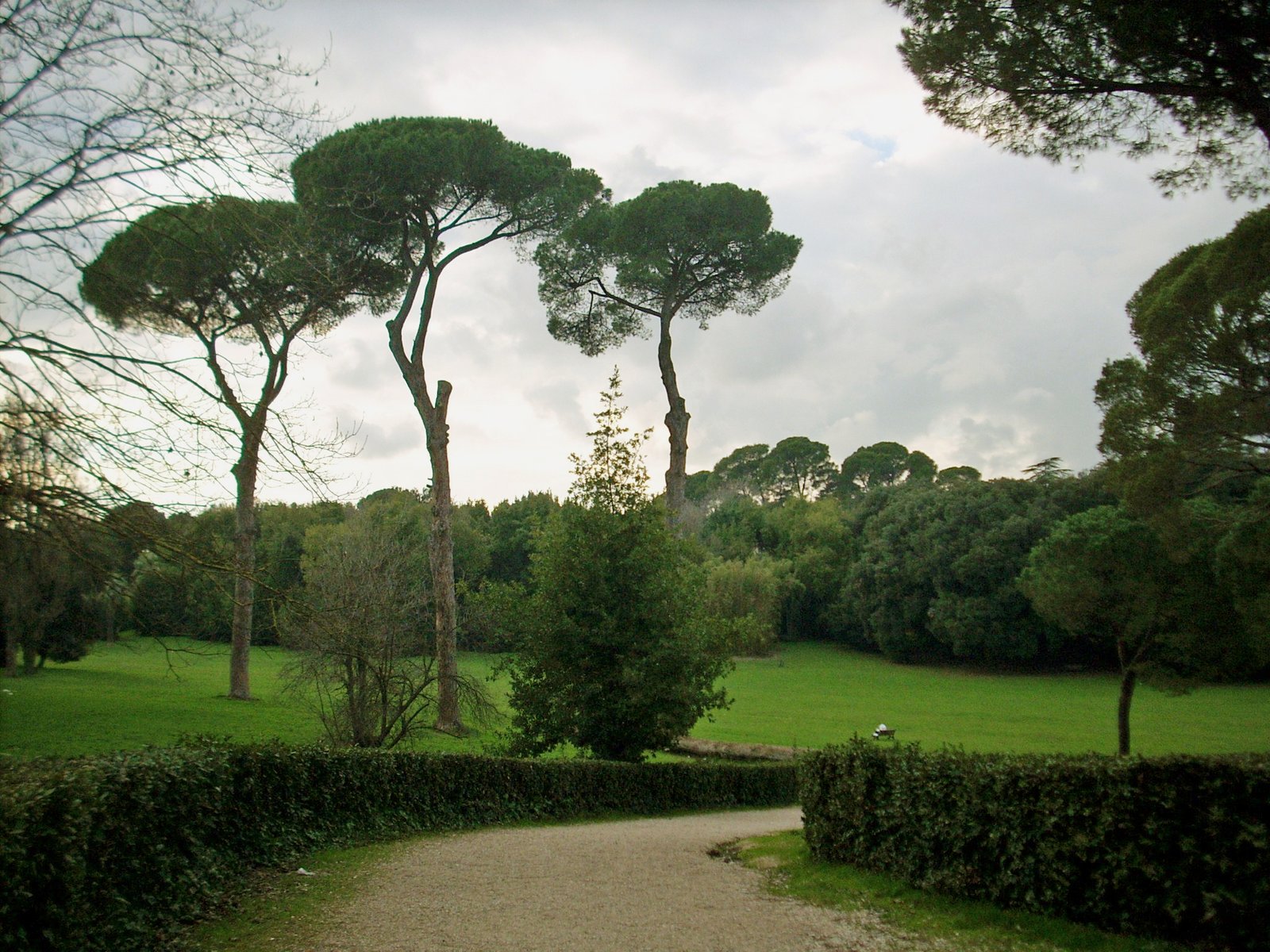 Vista do Parco di Villa Ada em Roma, Itália